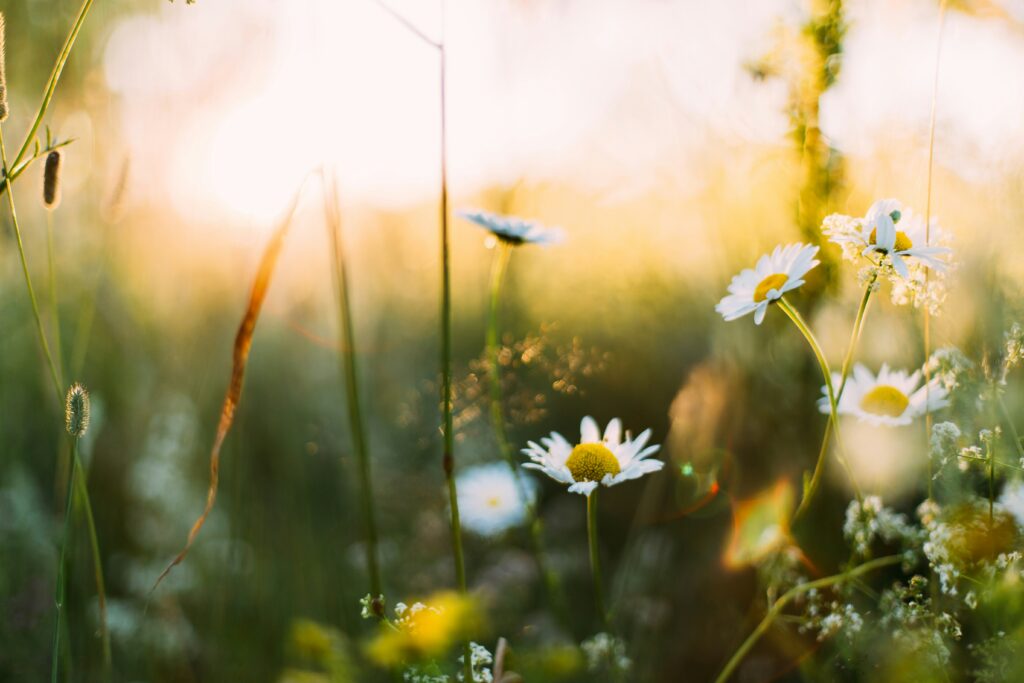 C’è una parola che più di tutte sentiamo nostra in questi giorni. È la parola crisi, che ci viene ripetuta all’infinito, e che per noi è utile leggere come opportunità.