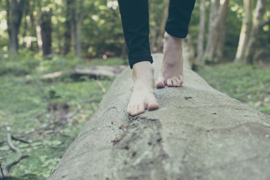 Piedi che camminano nel bosco