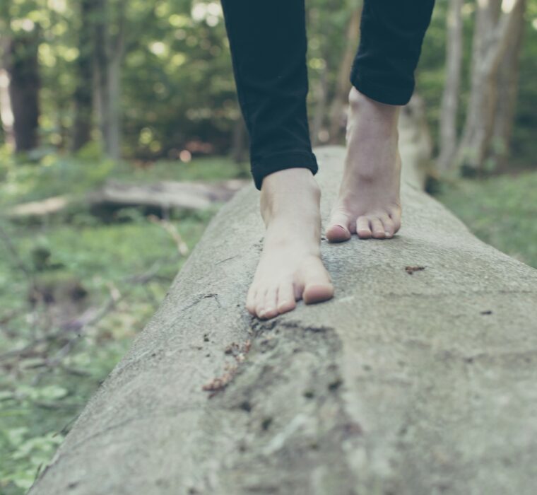 Piedi che camminano nel bosco