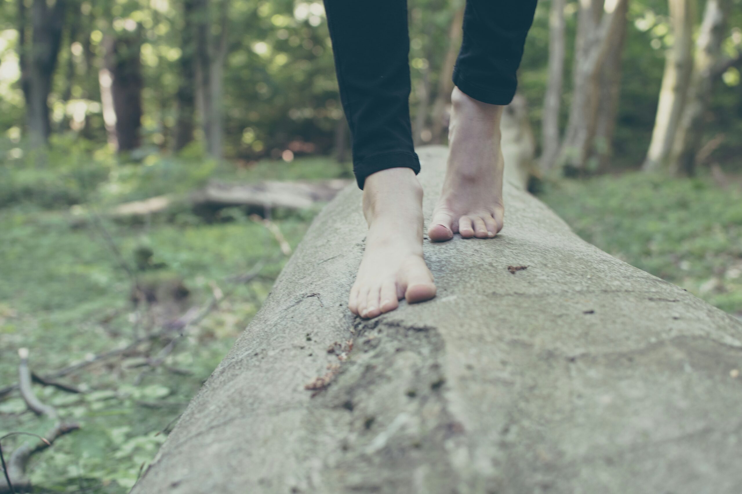 Piedi che camminano nel bosco